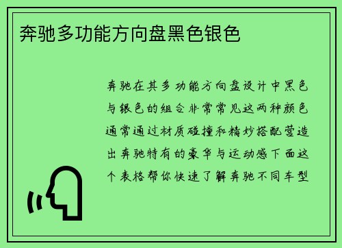 奔驰多功能方向盘黑色银色